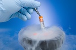 Sperm Freezing