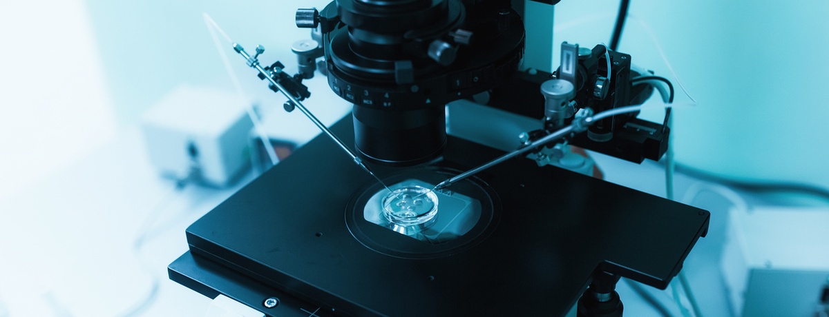 IVF laboratoř