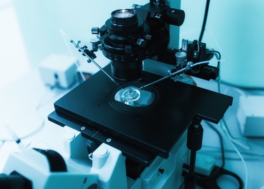 IVF laboratoř
